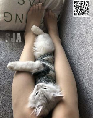 亚洲欧美小视频_BT种子搜索