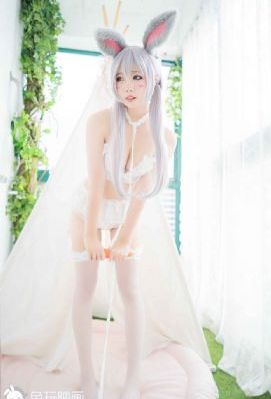 玻璃芦苇无删减版_高清免费观看视频